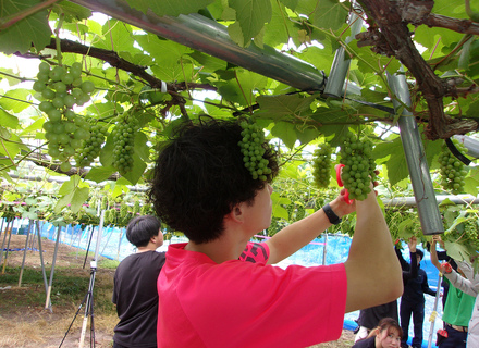 東北農林専門職大学の特長１