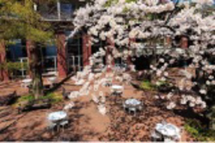 学習院大学 緑豊かで落ち着いた戸山キャンパスで４年間学びます。新宿、池袋、渋谷からのアクセスも良好です。