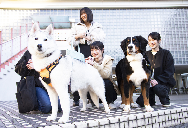 日本獣医生命科学大学の風景