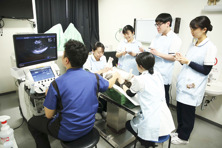 日本獣医生命科学大学 最先端の設備を誇る付属動物医療センター