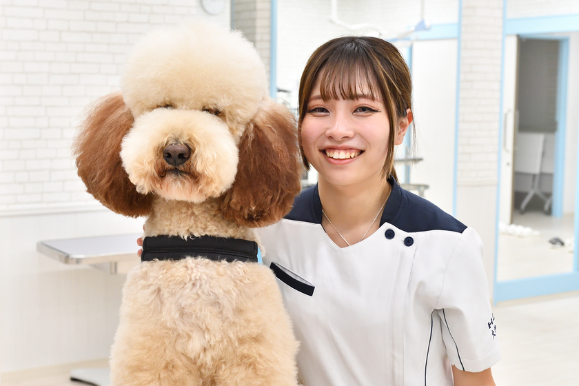 北海道どうぶつ・医療専門学校の学生