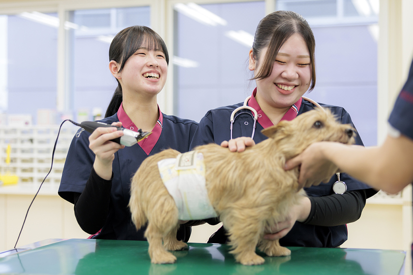 キャンパスライフPhoto