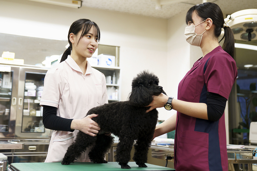 キャンパスライフPhoto