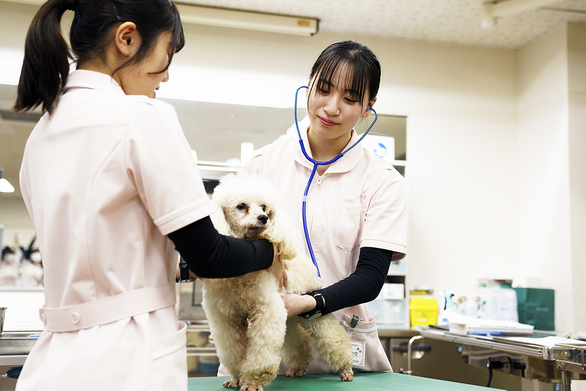 キャンパスライフPhoto