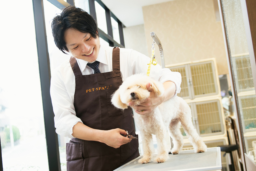 専門学校 東京ビジネス・アカデミーの卒業生