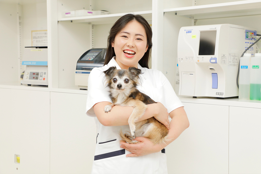 専門学校 東京ビジネス・アカデミーの学生