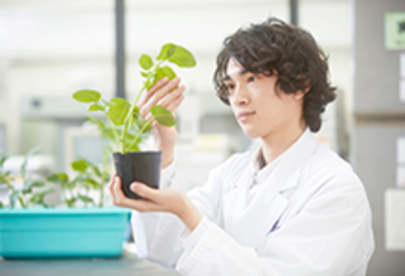 東京バイオテクノロジー専門学校の風景