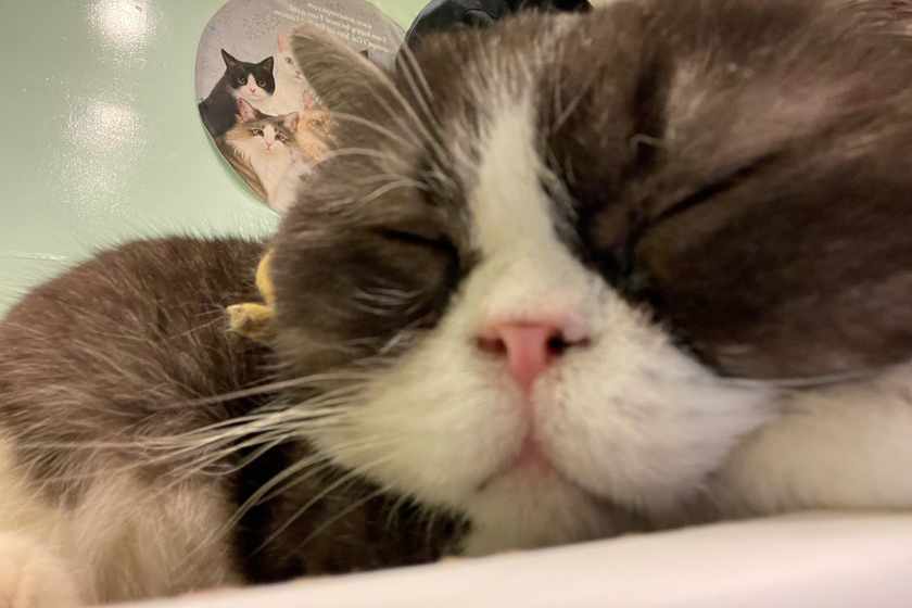 キャンパスライフPhoto