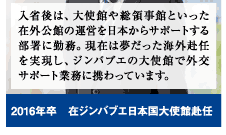 入省後は、大使館や総領事館といった在外公館の運営を日本からサポートする部署に勤務。