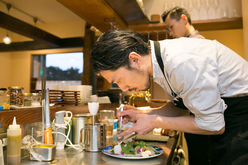 服部栄養専門学校の卒業生