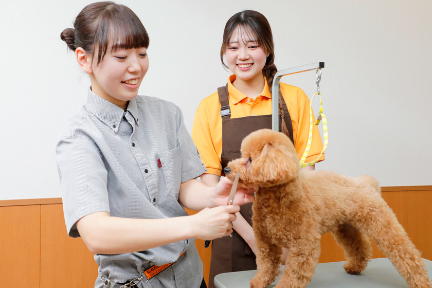 キャンパスライフPhoto