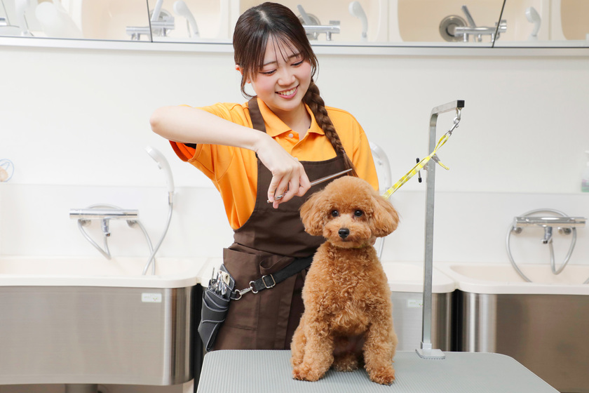 キャンパスライフPhoto