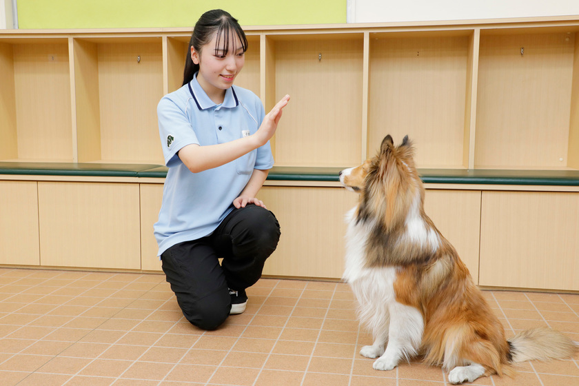 キャンパスライフPhoto