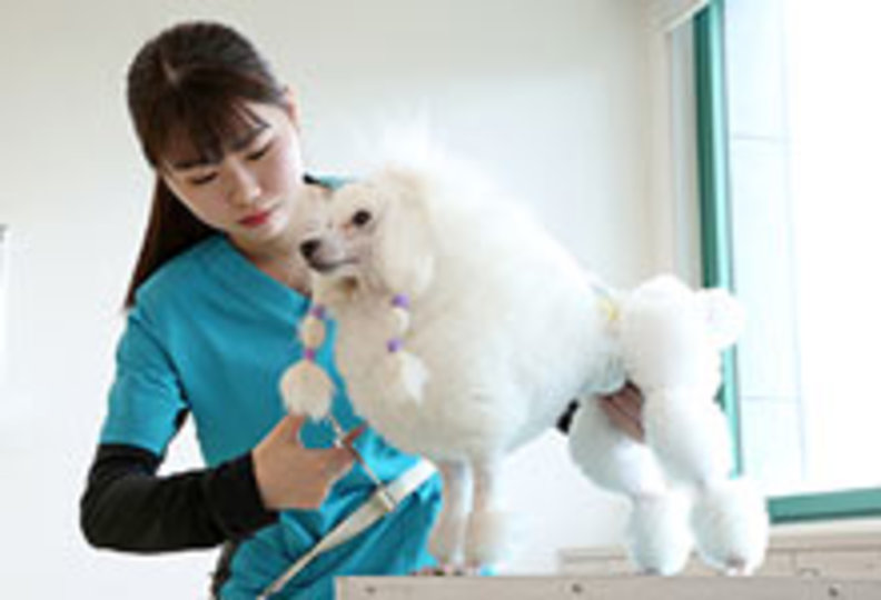 セントラル動物専門学校の風景