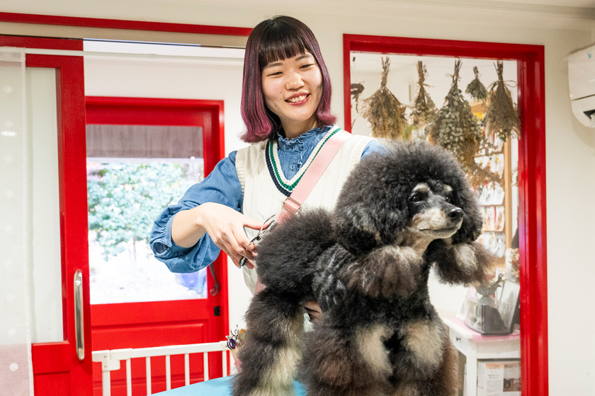 専門学校　ちば愛犬動物フラワー学園の卒業生