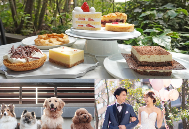 専門学校　福岡ビジョナリーアーツの風景