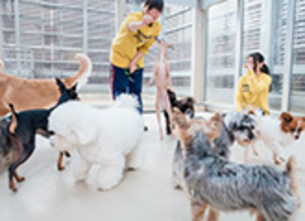 専門学校　福岡ビジョナリーアーツの特長１