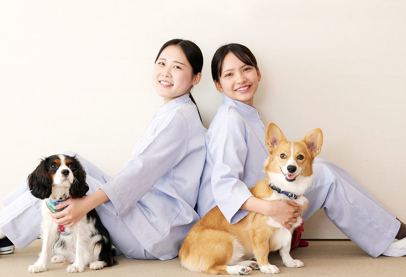 大阪ペピイ動物看護専門学校の風景