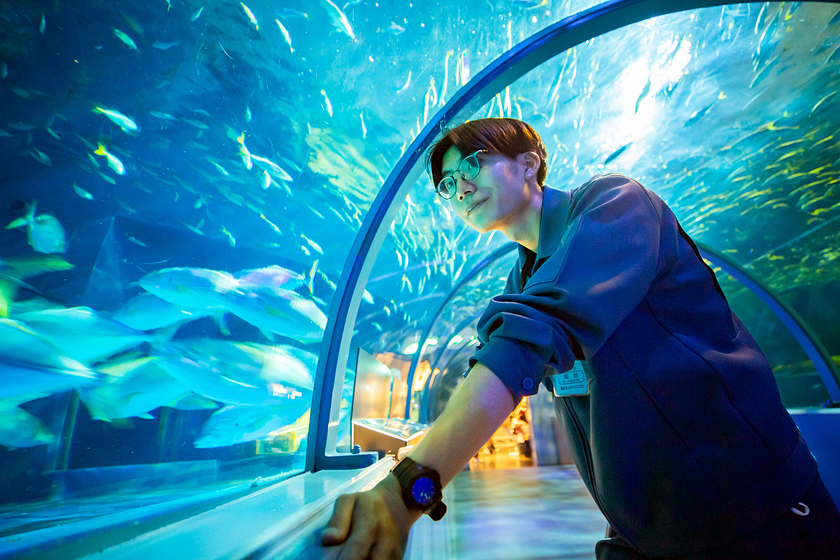 札幌科学技術専門学校の卒業生