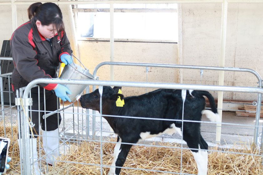 キャンパスライフPhoto