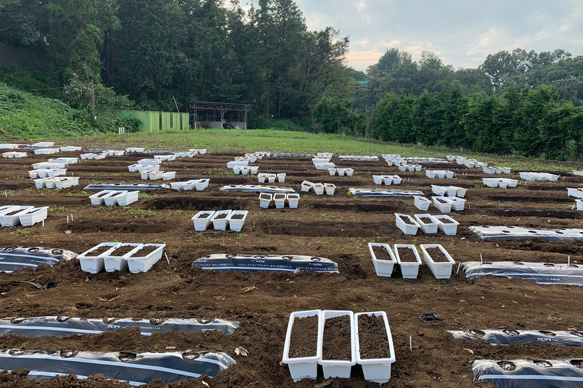 キャンパスライフPhoto