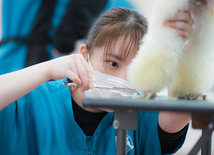高崎動物専門学校の特長１