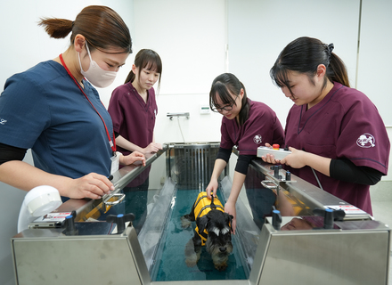 高崎動物専門学校の特長３
