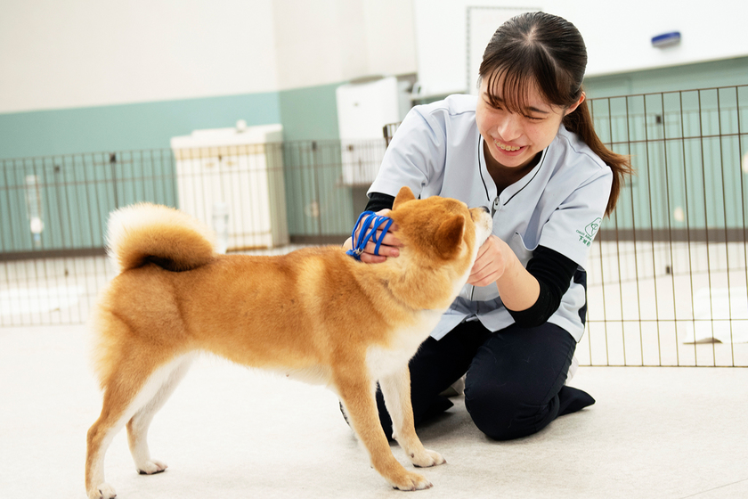 キャンパスライフPhoto