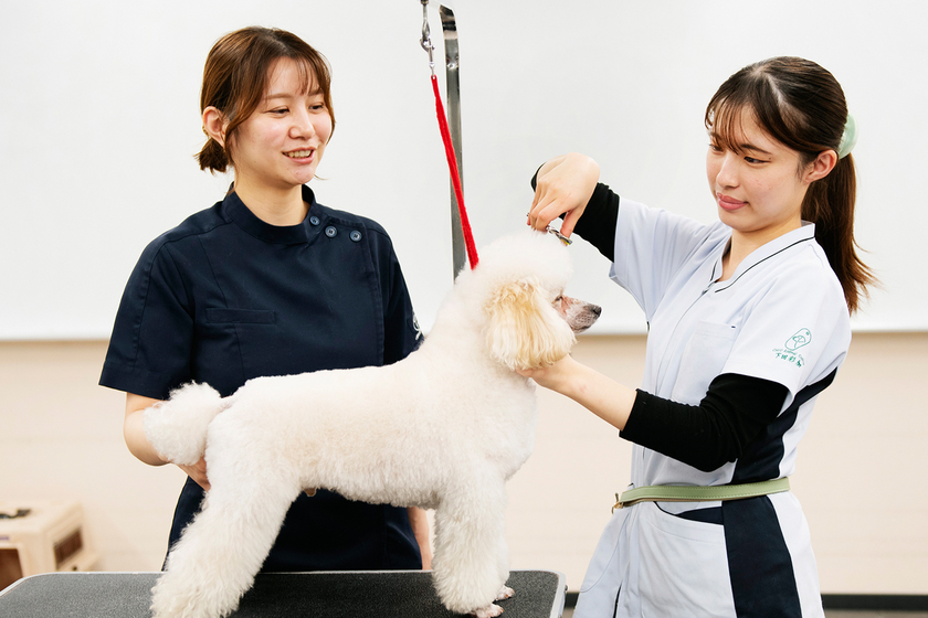 キャンパスライフPhoto