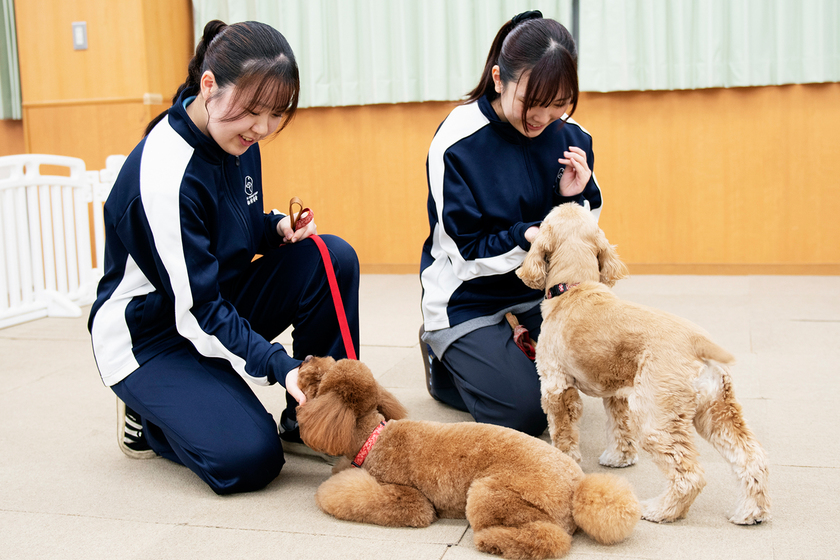 キャンパスライフPhoto