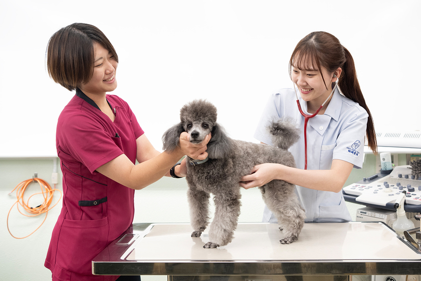 キャンパスライフPhoto