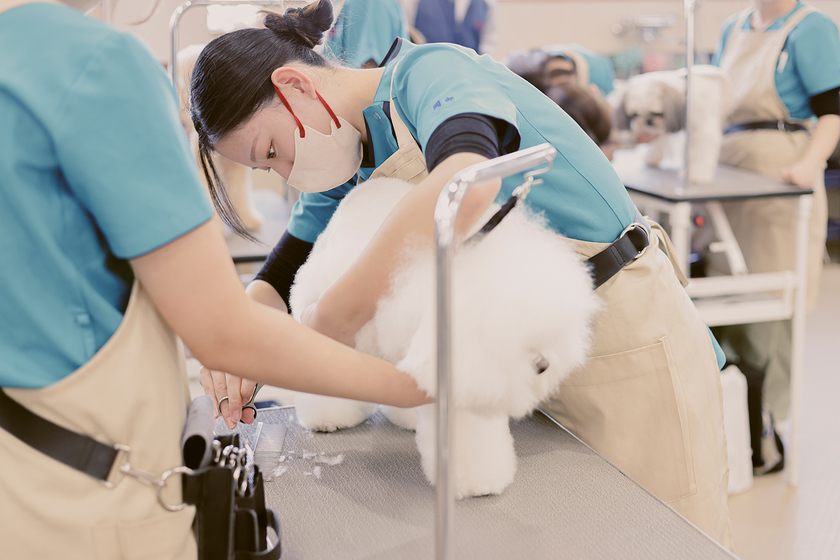 キャンパスライフPhoto