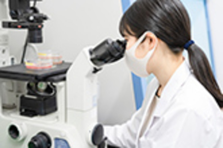 星薬科大学 学会で自分の研究の成果を発表できるチャンスも少なくありません!