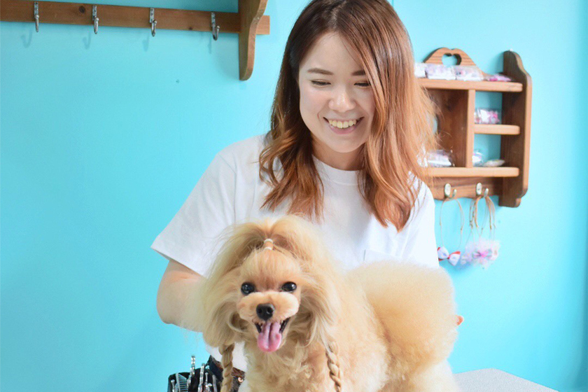 専門学校ビジョナリーアーツの卒業生