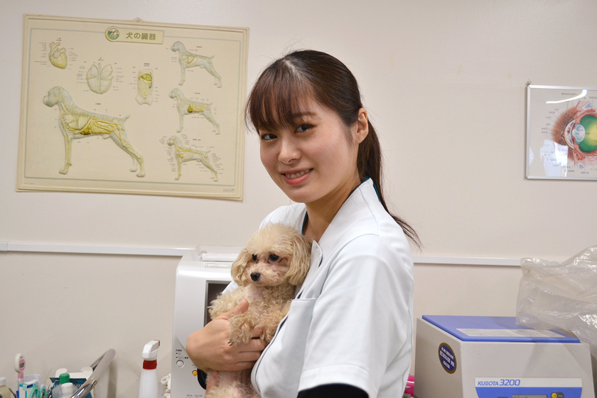 専門学校 大阪ビジネス・アカデミーの学生