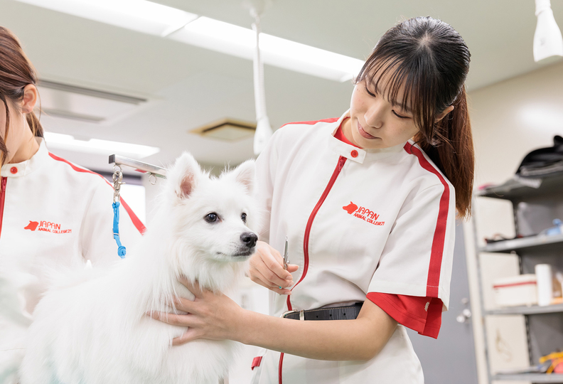 専門学校日本動物２１の風景