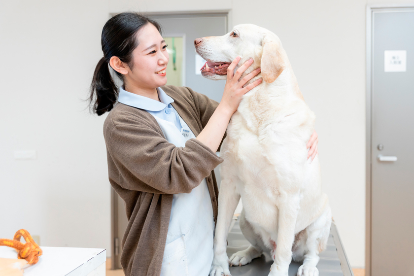 岡山理科大学専門学校の卒業生