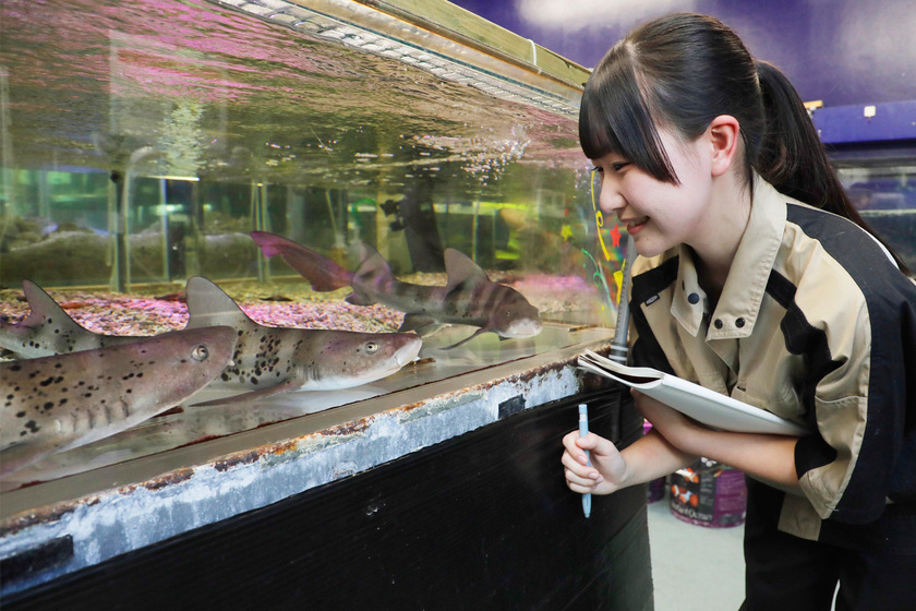 キャンパスライフPhoto