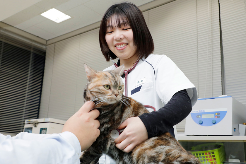 キャンパスライフPhoto