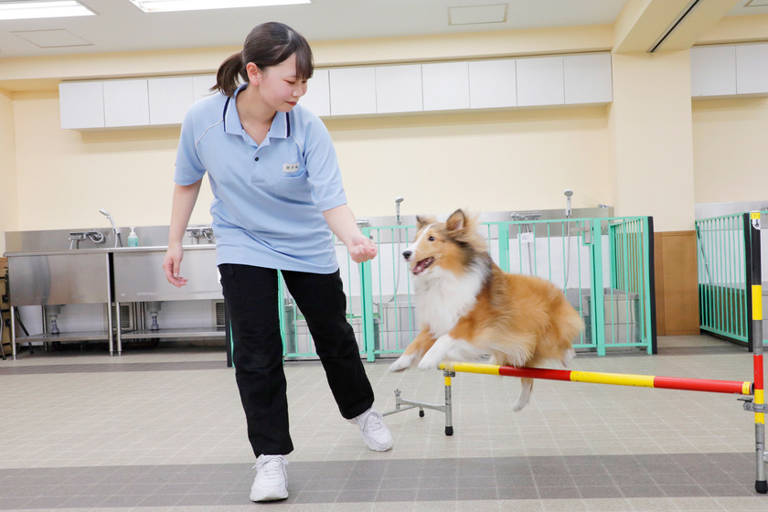 キャンパスライフPhoto