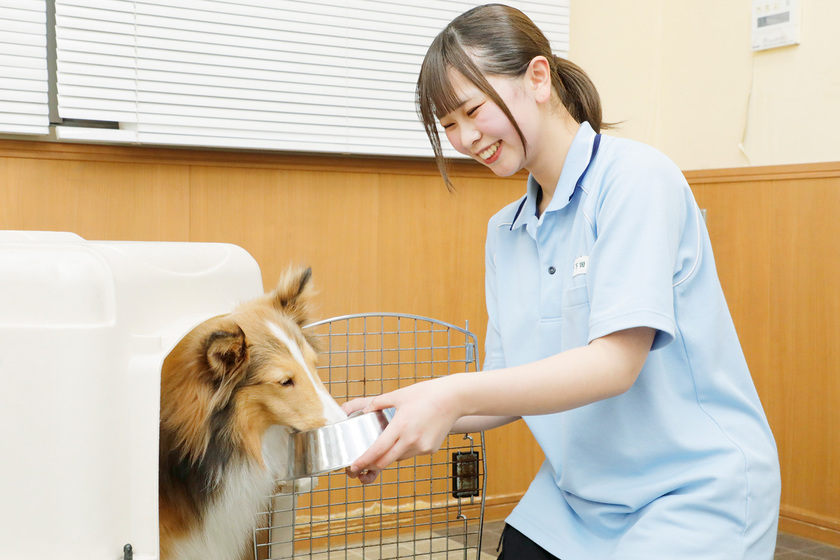 キャンパスライフPhoto