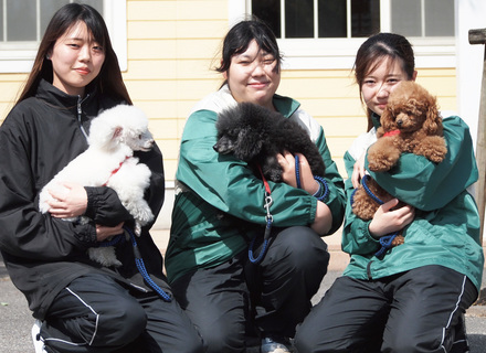 愛知ペット専門学校の特長２