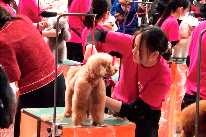 キャンパスライフPhoto