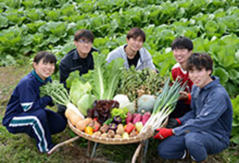 鯉淵学園農業栄養専門学校の風景