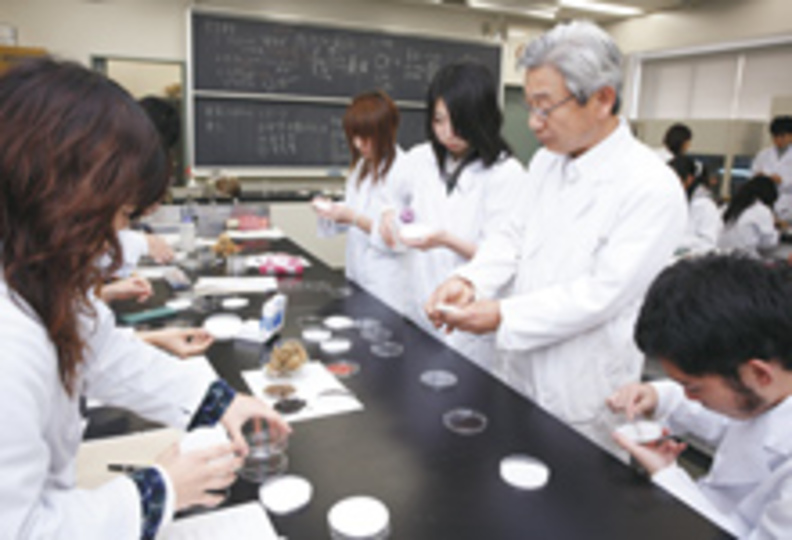 日本大学短期大学部の風景