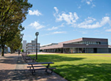 国立音楽大学の特長２