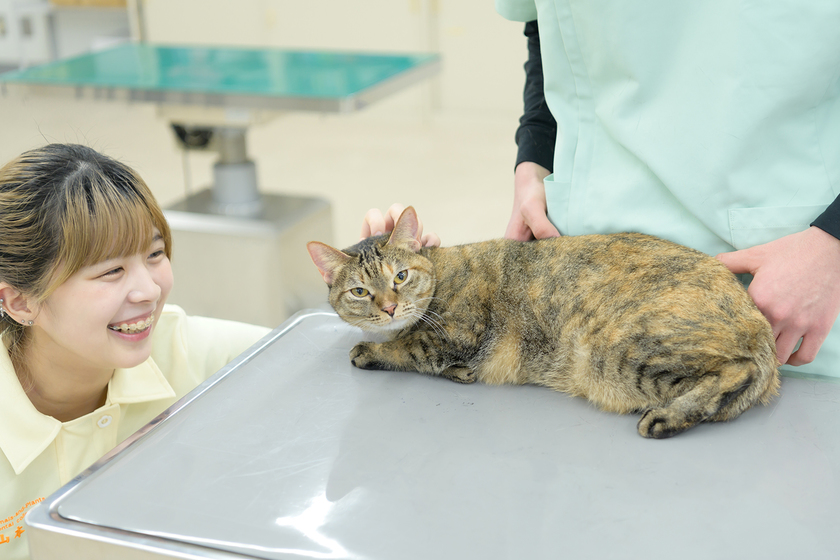 キャンパスライフPhoto