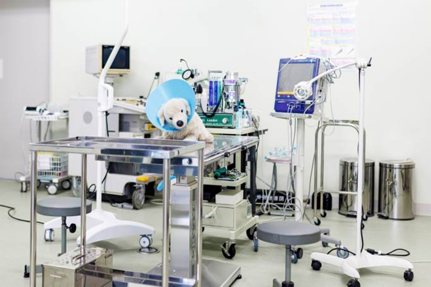 キャンパスライフPhoto