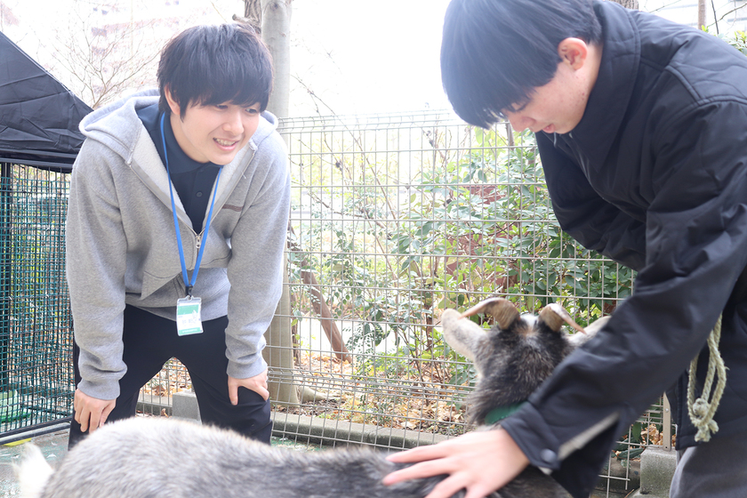 神戸動植物環境専門学校の先生