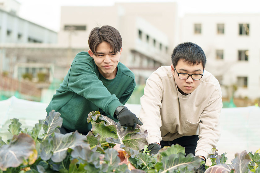 キャンパスライフPhoto